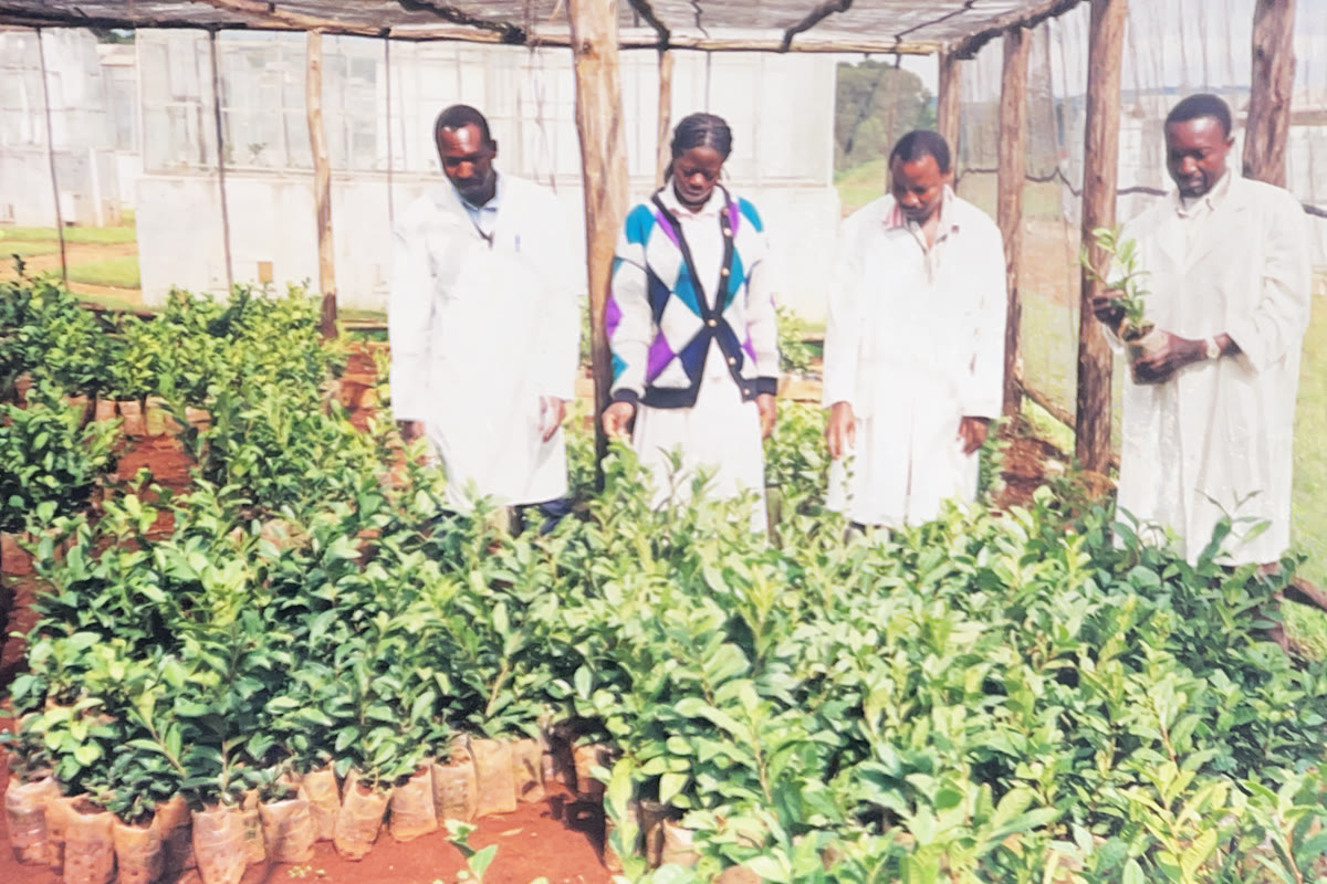 Four people examining young plants together in a nursery.
